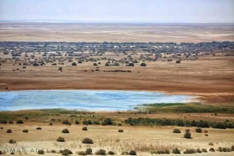 Tunis Village