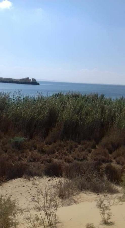 Tunis Village Dağ evi