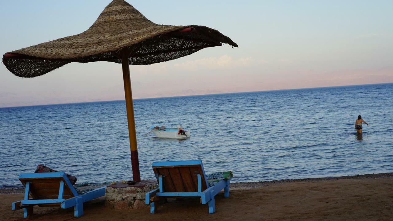 Sea Horse Campsite Nuweiba