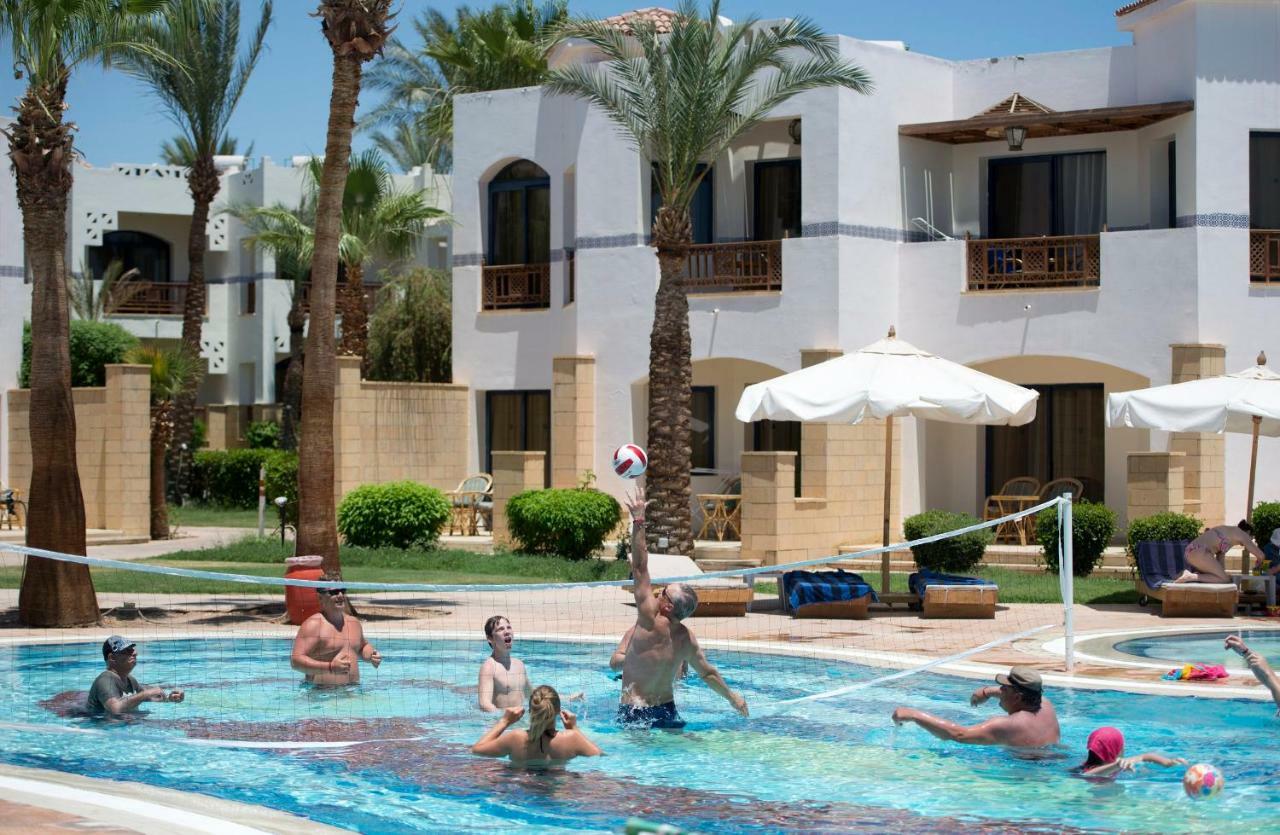 Amphoras 5* Sharm el-Sheikh