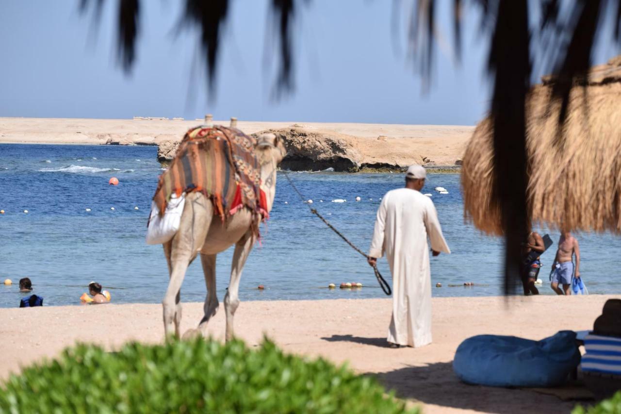 Sharm El Naga And Diving Center 3* Hurgada