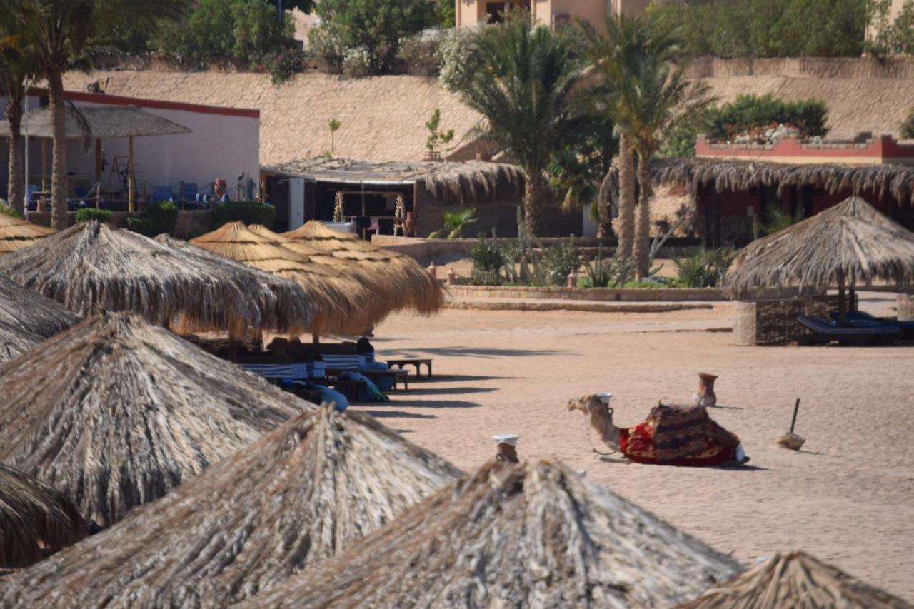 Kamp alanı Sharm El Naga And Diving Center Hurgada