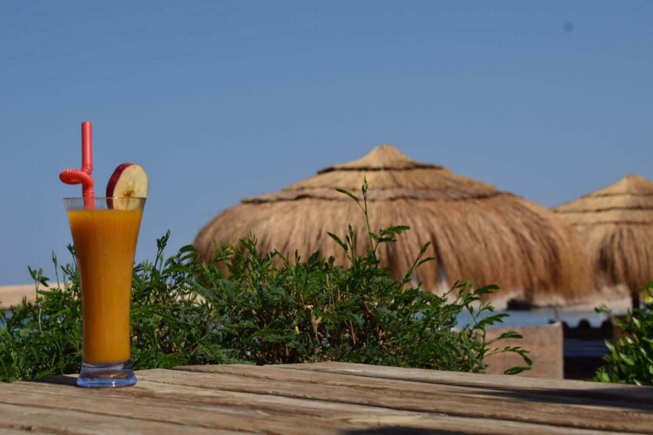 Sharm El Naga And Diving Center Kamp alanı Hurgada