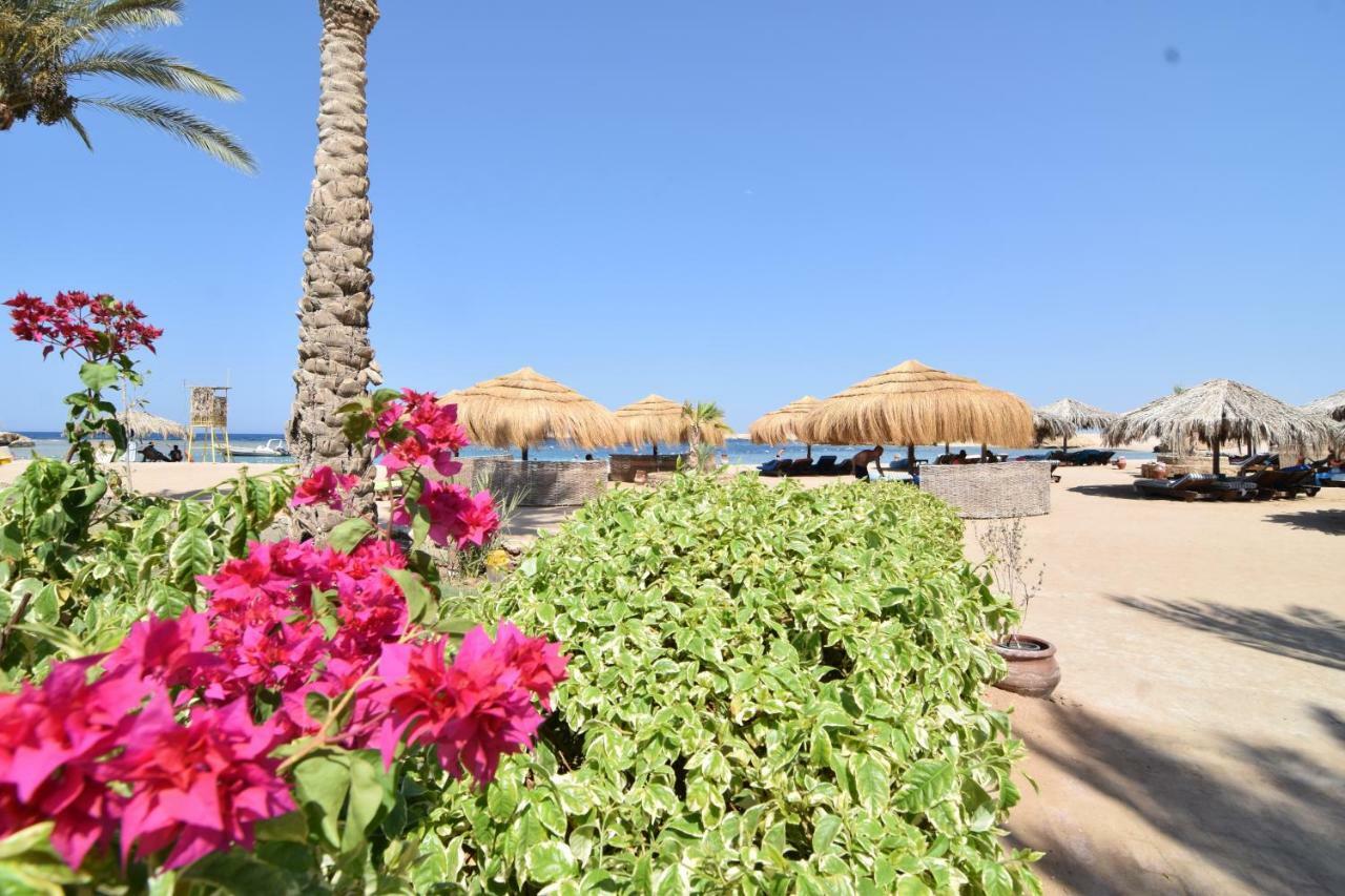 Sharm El Naga And Diving Center Hurgada