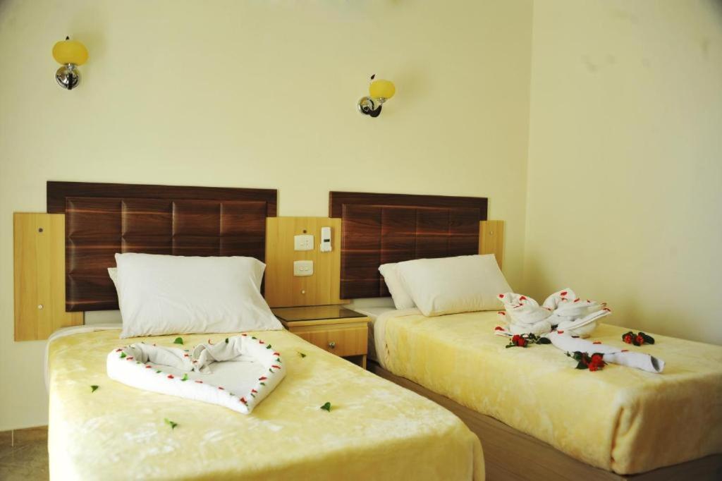 Sharks Bay Oasis Aqua Park 3* Şarm El-Şeyh