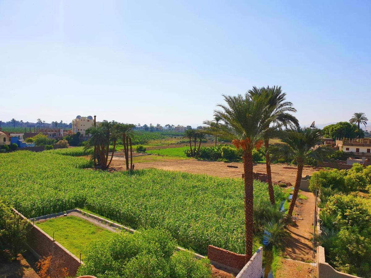Farida Apartment Luxor