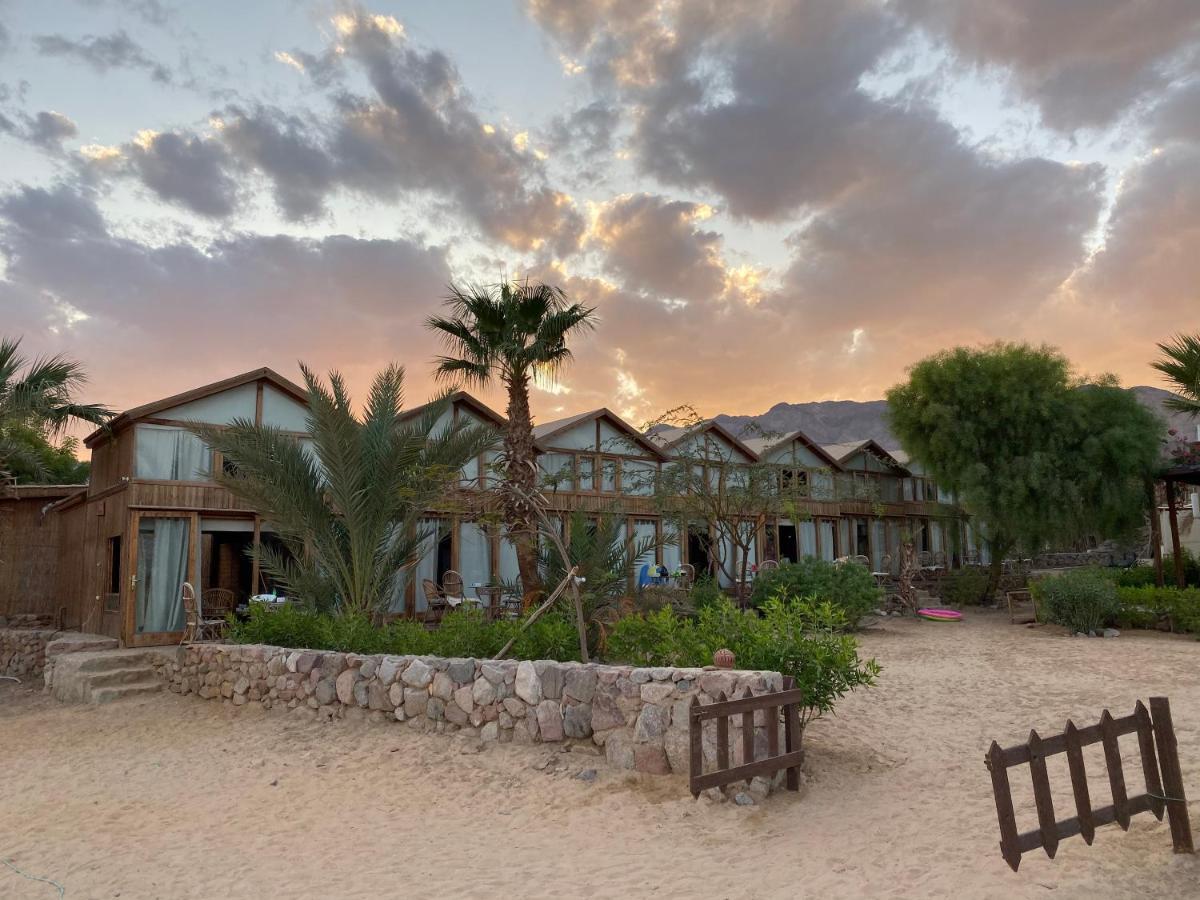 Nuweiba Lodge