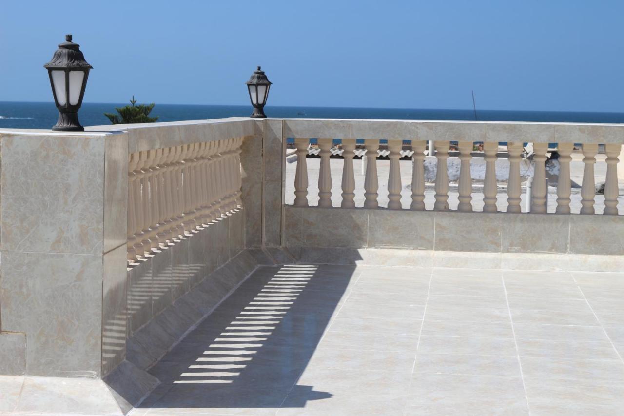 Al Raya Alexandria