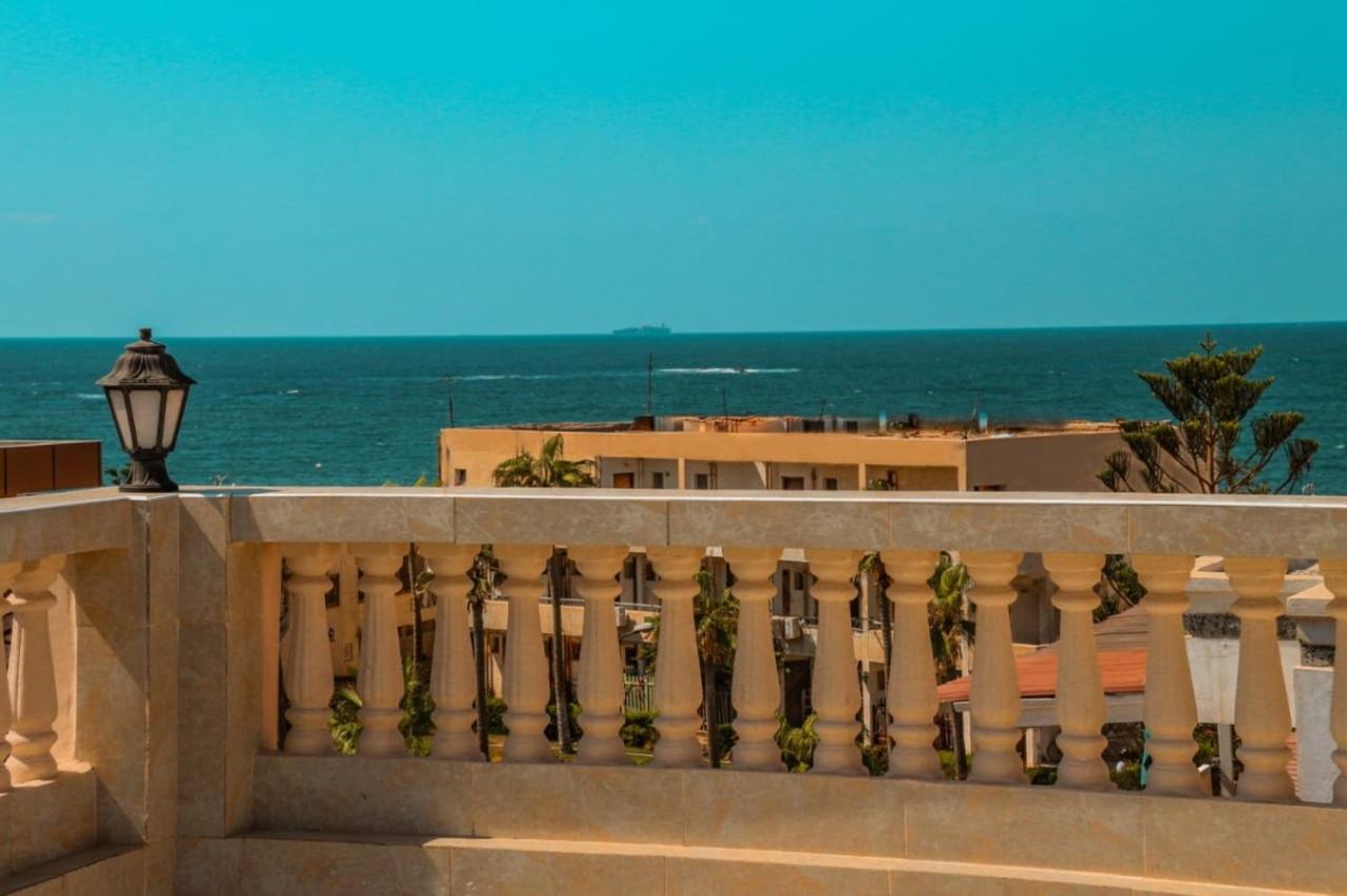 Al Raya Alexandria