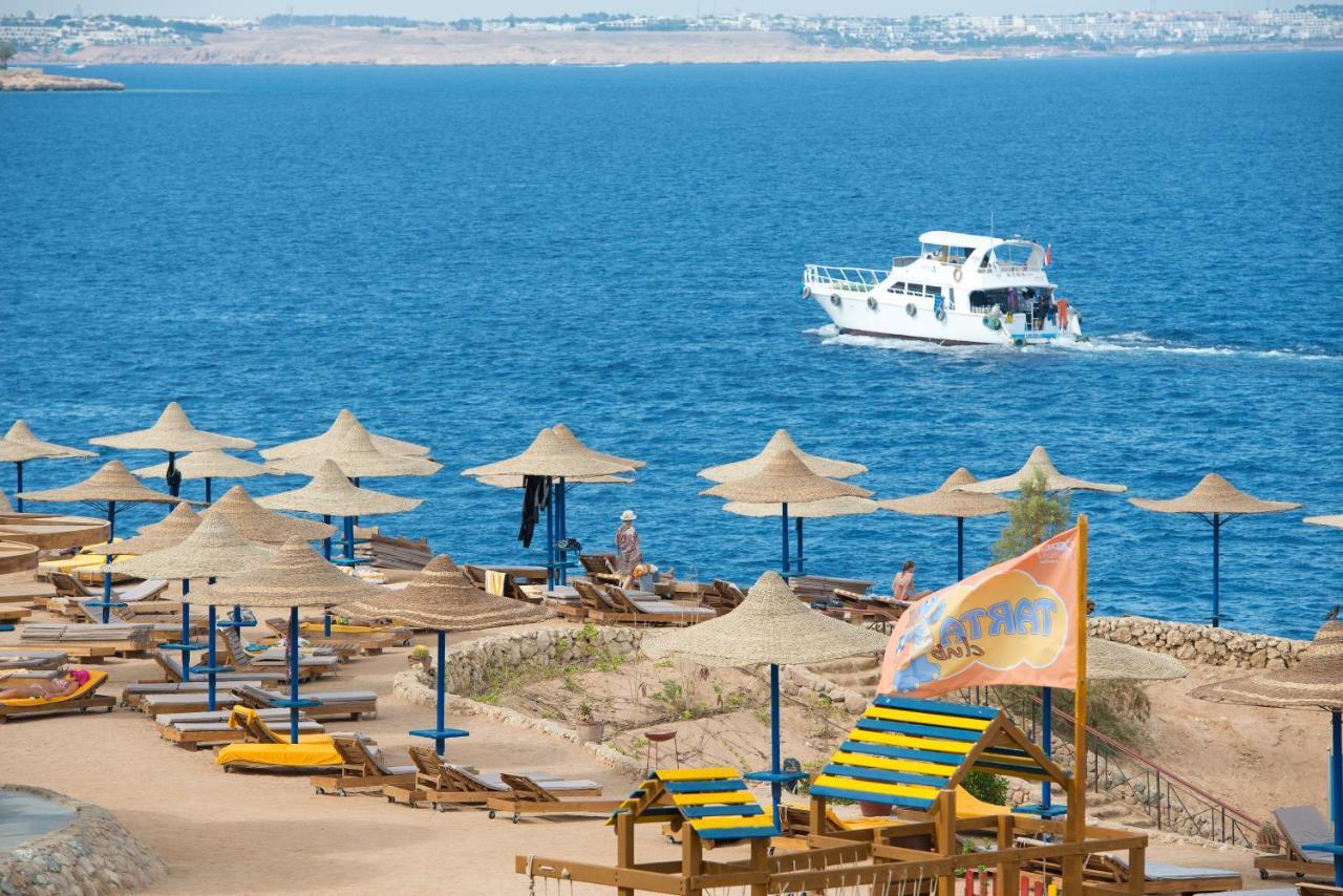 Amphoras Blu 4*