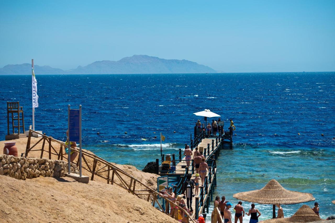 Amphoras 5* Sharm el-Sheikh
