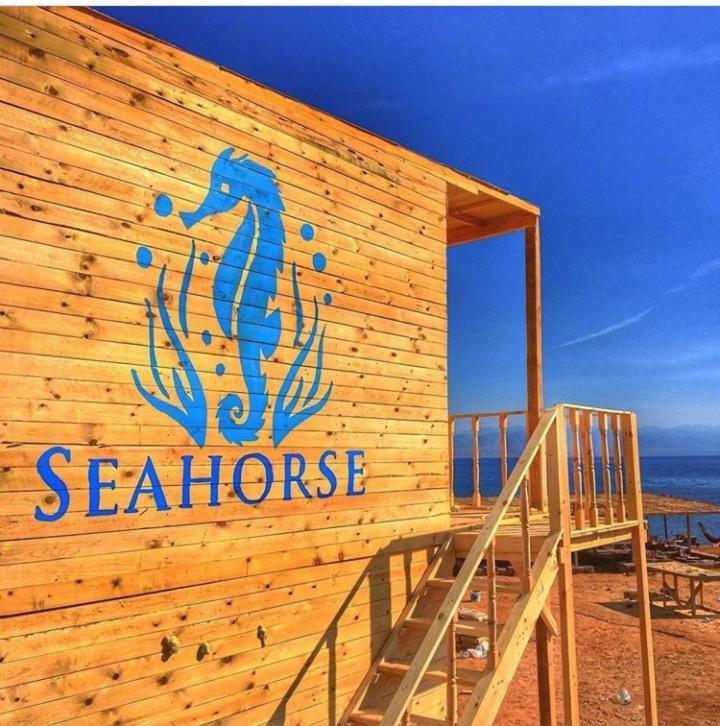 Sea Horse Campsite