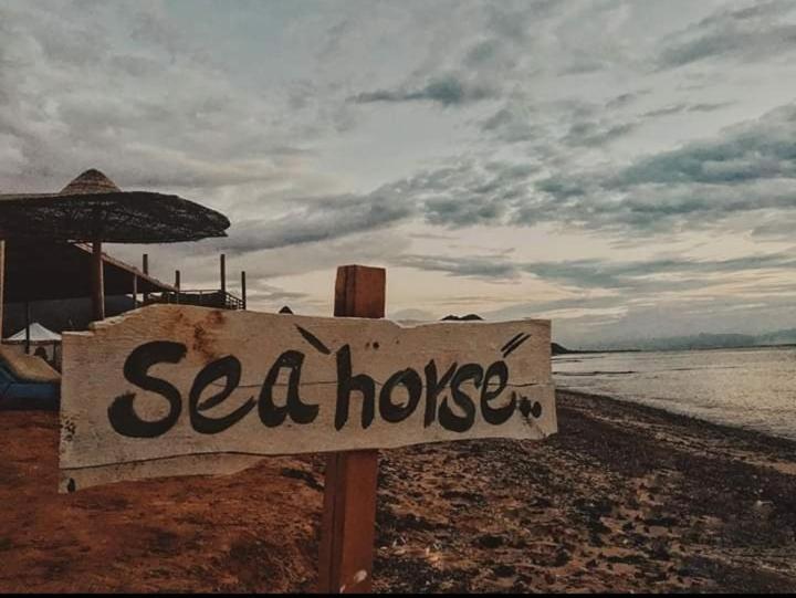 Campsite Sea Horse Nuweiba