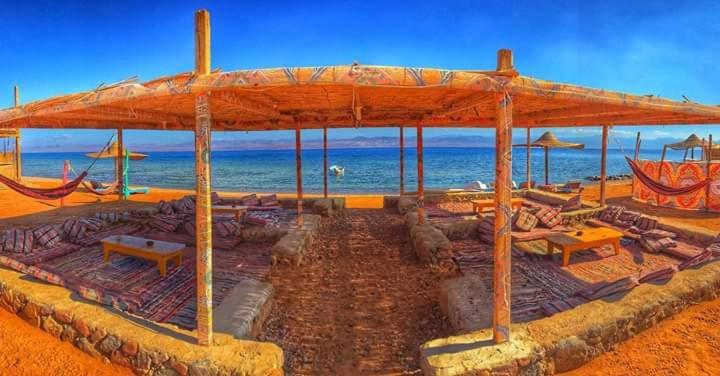 Sea Horse Campsite