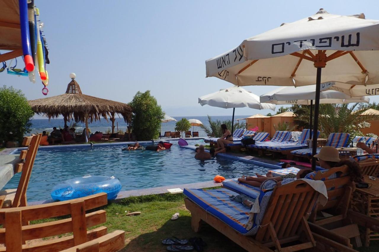 Bedouin Star 4* Taba