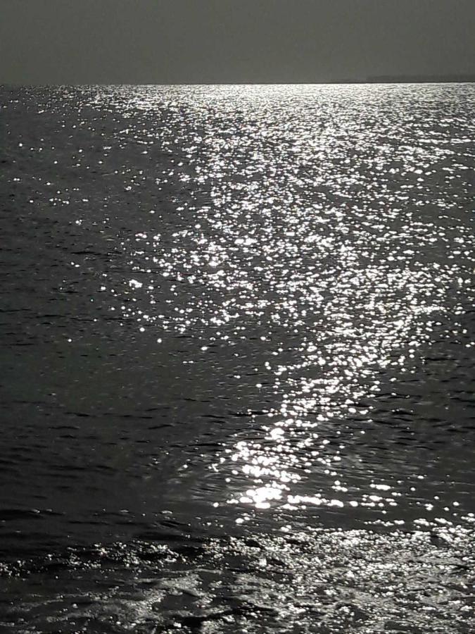 Near Dolce - Redsealine Apartment