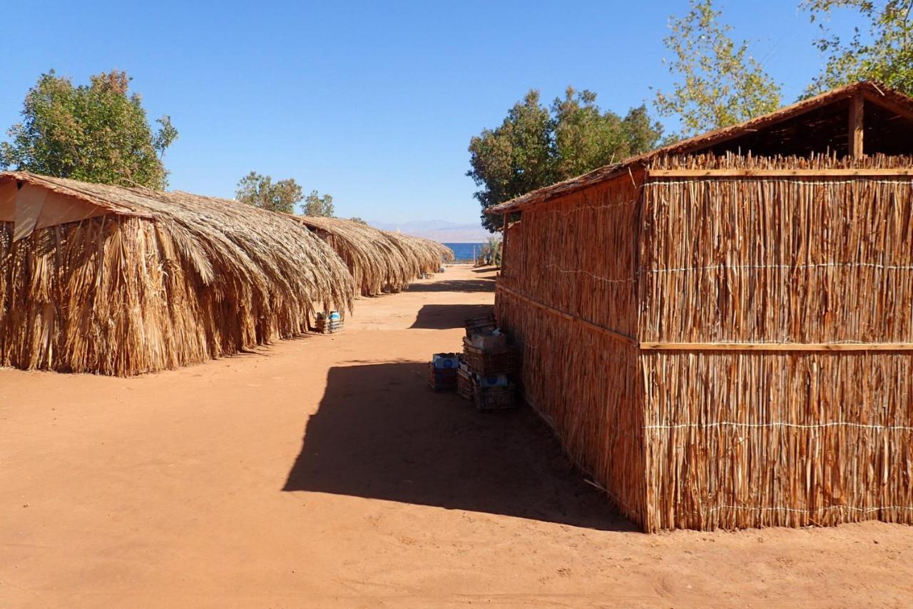 Campsite Bedouin Star 4*