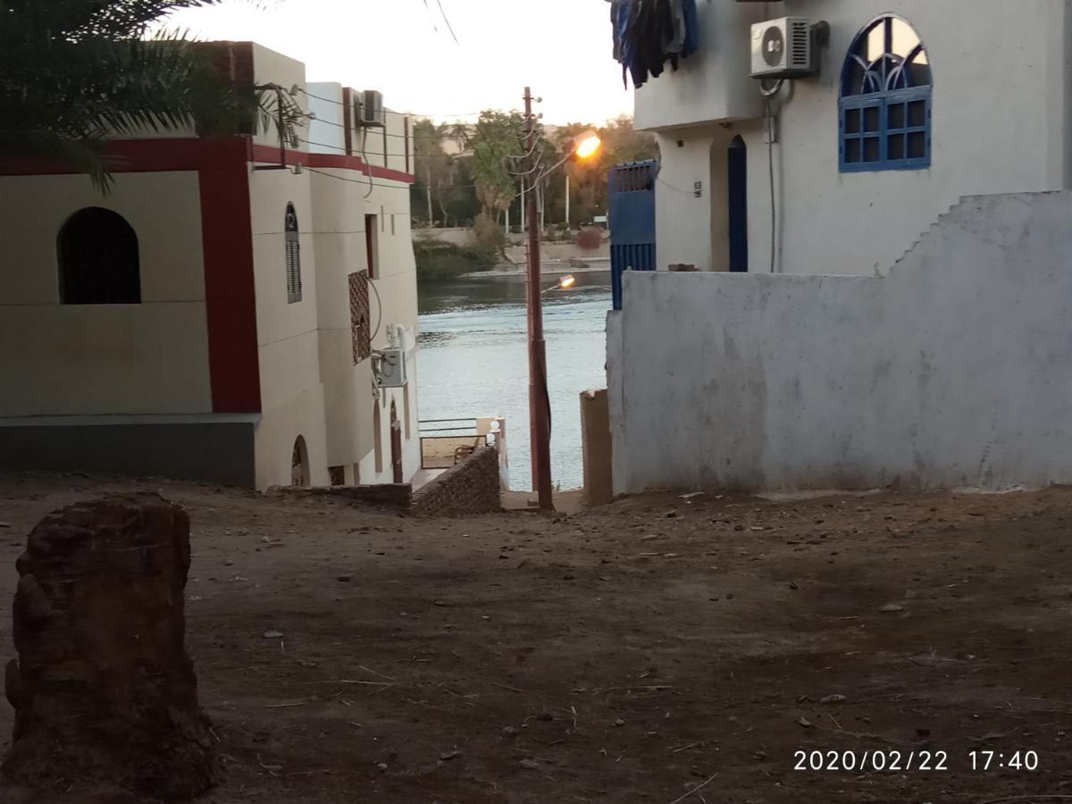 Abazido Nubian