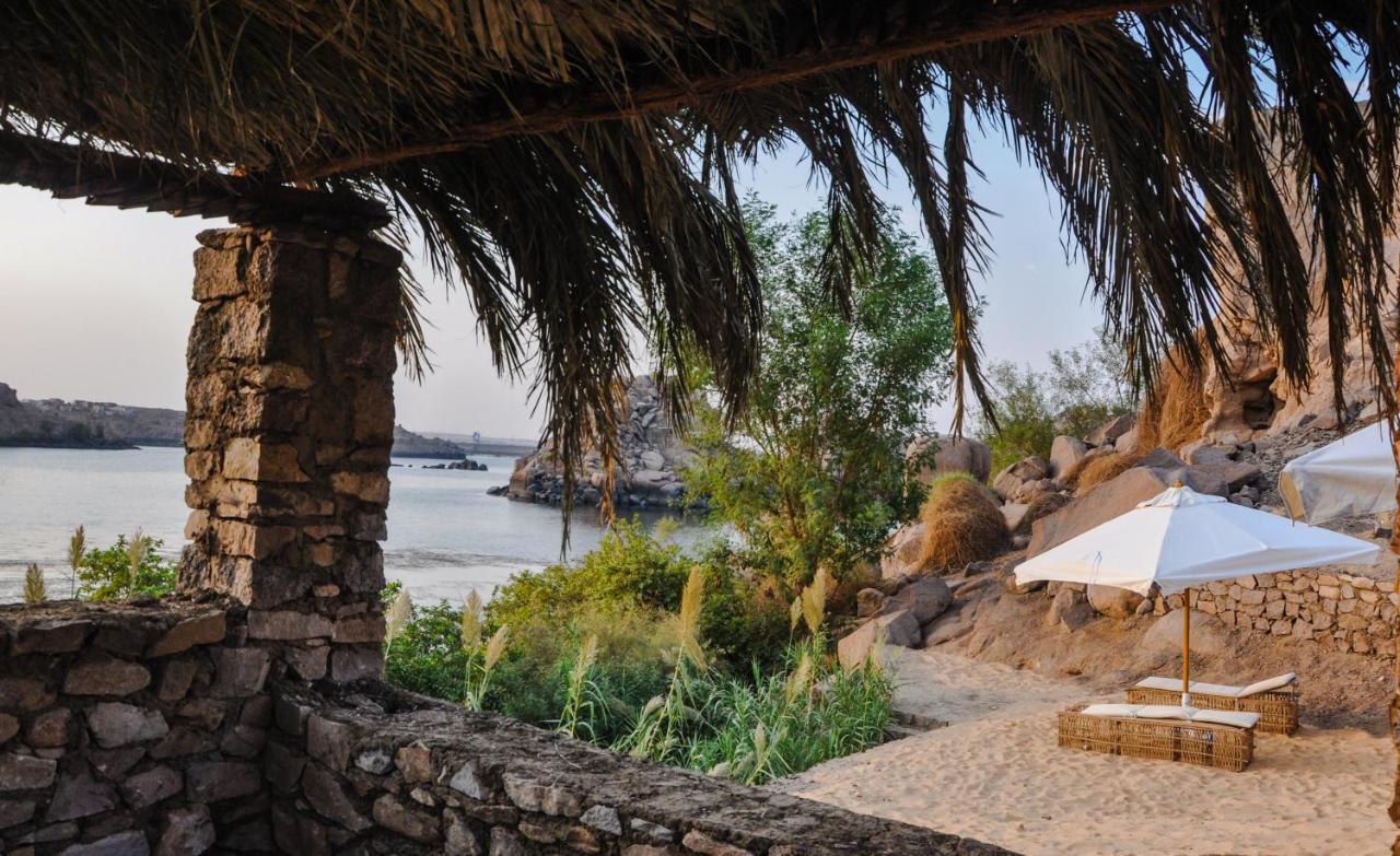 Orman Evi Eco Nubia