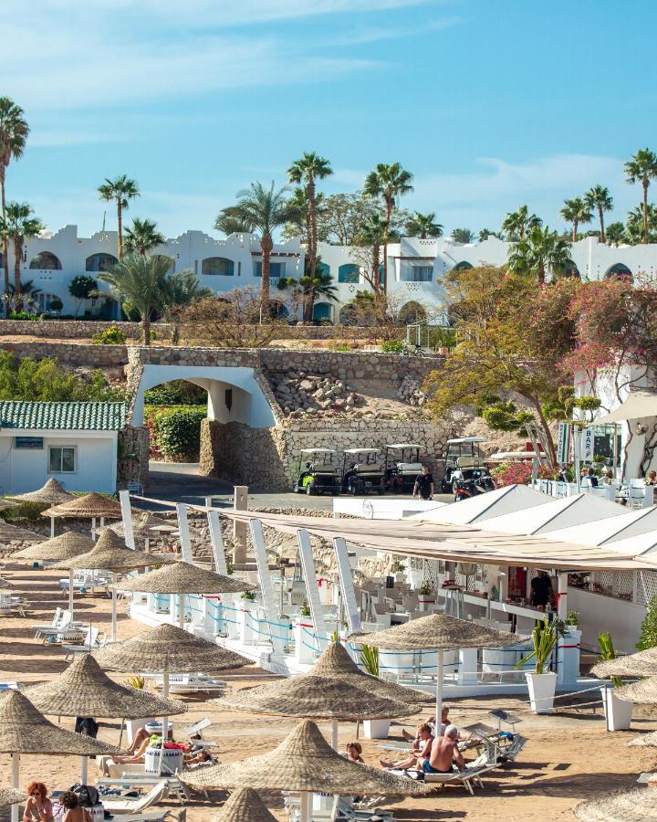 Resort Domina King's &