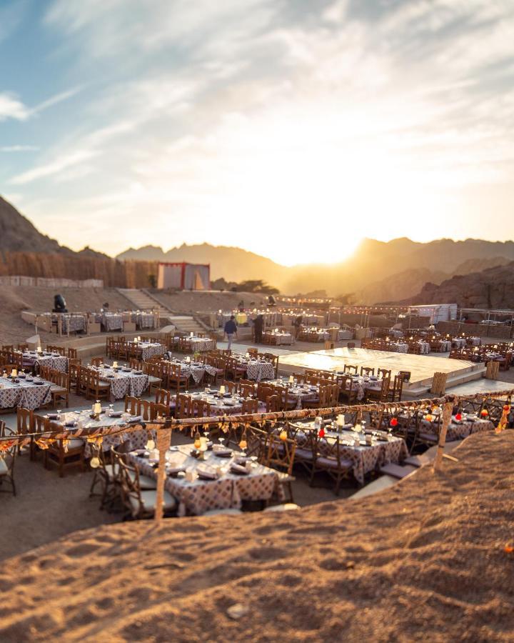 Domina King's & Sharm El Sheikk