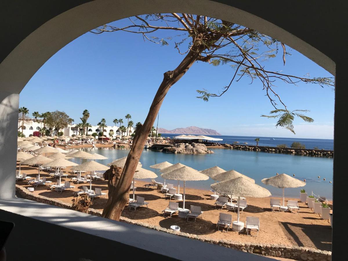 Domina King's & 5* Sharm El Sheikk
