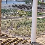 Wadi Jebal Lodge For A Family With Pool And Beach Access