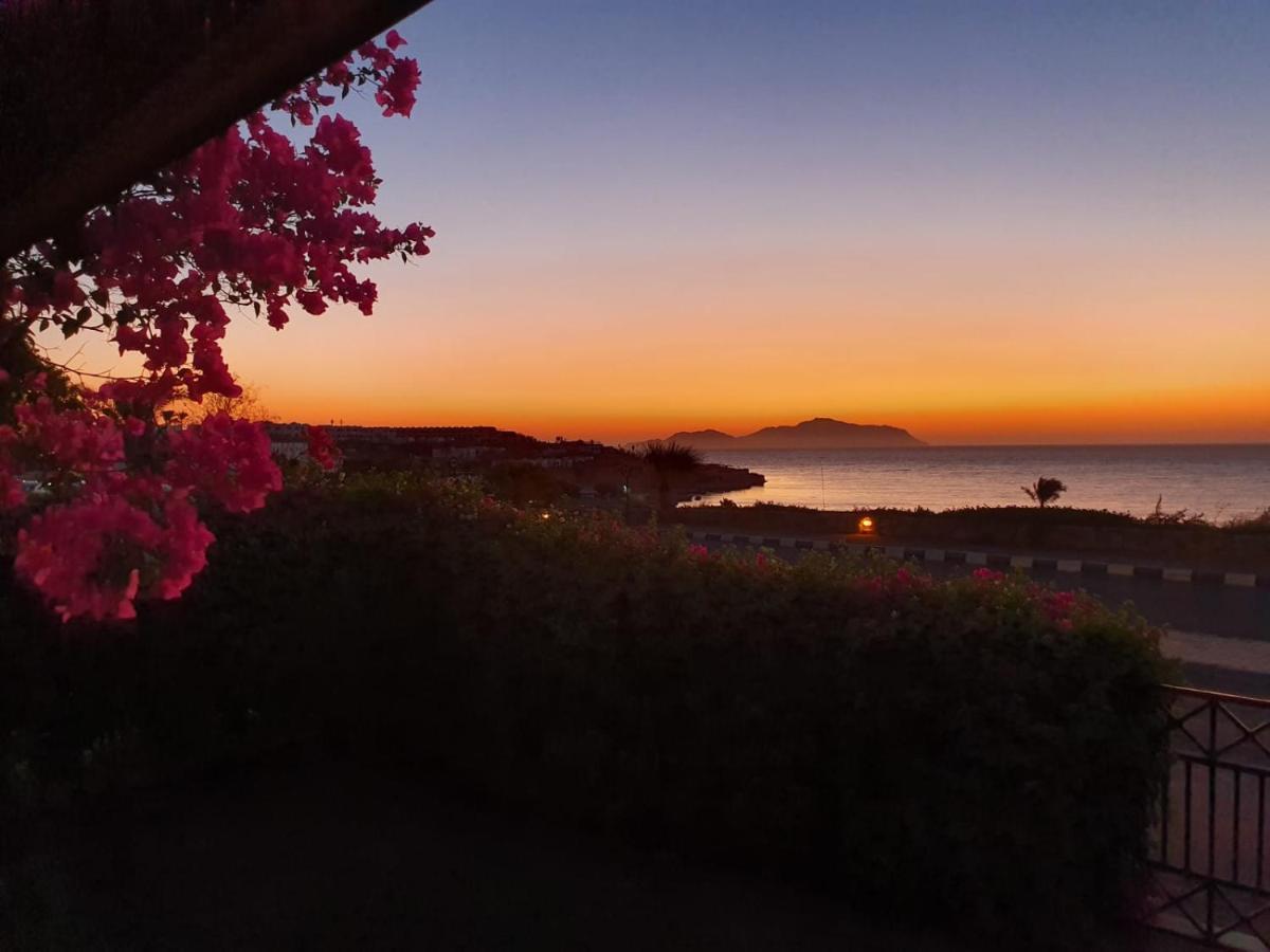 Holiday home Private At Domina Coral Bay
