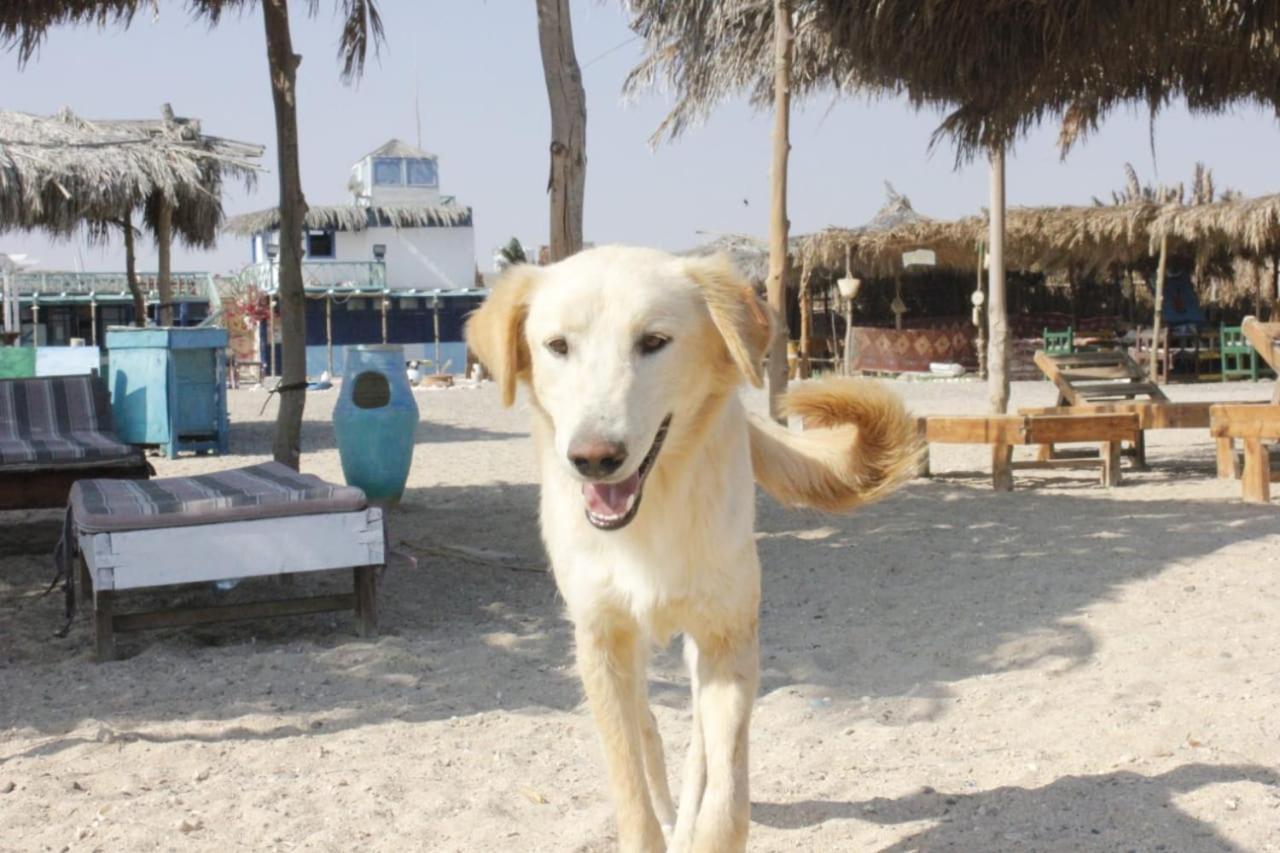 Deep South Eco-lodge * Marsa Alam