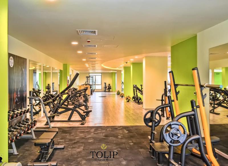 Hotel Tolip El Forsan 5*