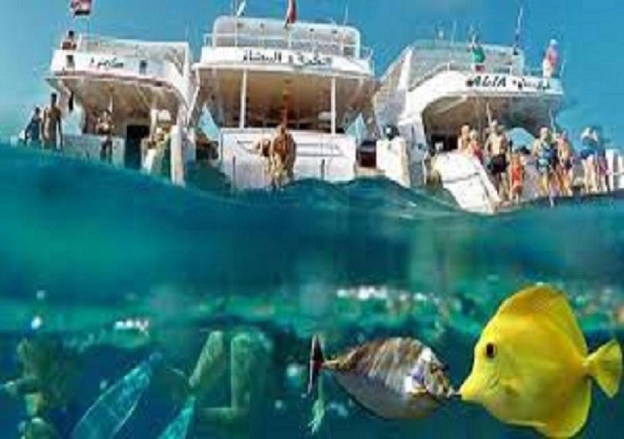 Joynant-gouna Kite Road-2room Mangroovy Free Access - Pool View- Apartment *