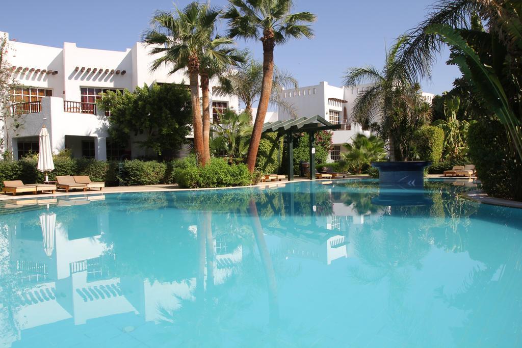 Delta ,official Web, Delta Rent, Sheikh, South Sinai, Egypt 4*