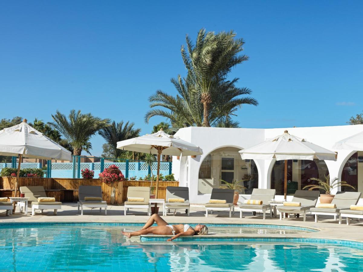 Club Paradisio Red Sea (adults Only) 4*