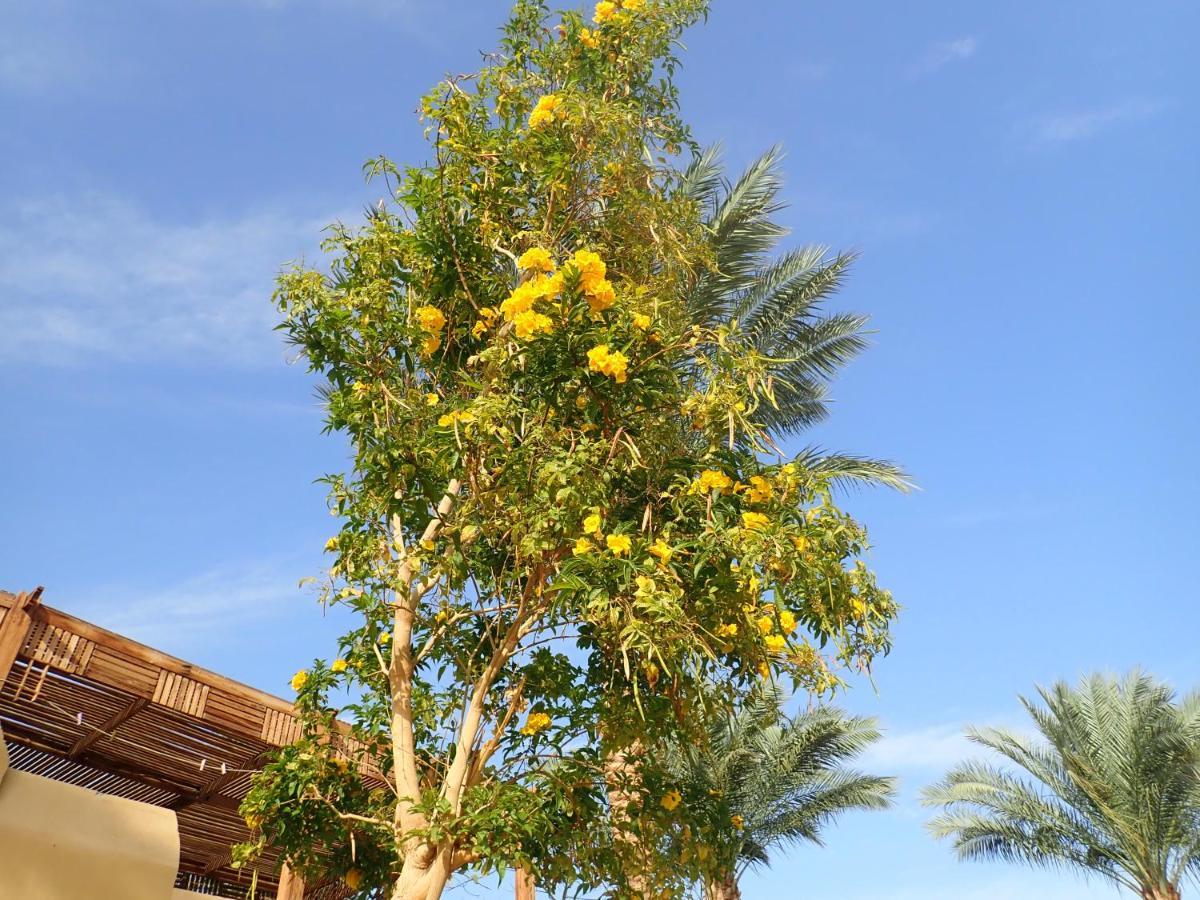 Stella Makadi Palace Hurghada