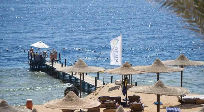 At Shores Amphoras Sharm El Sheikk