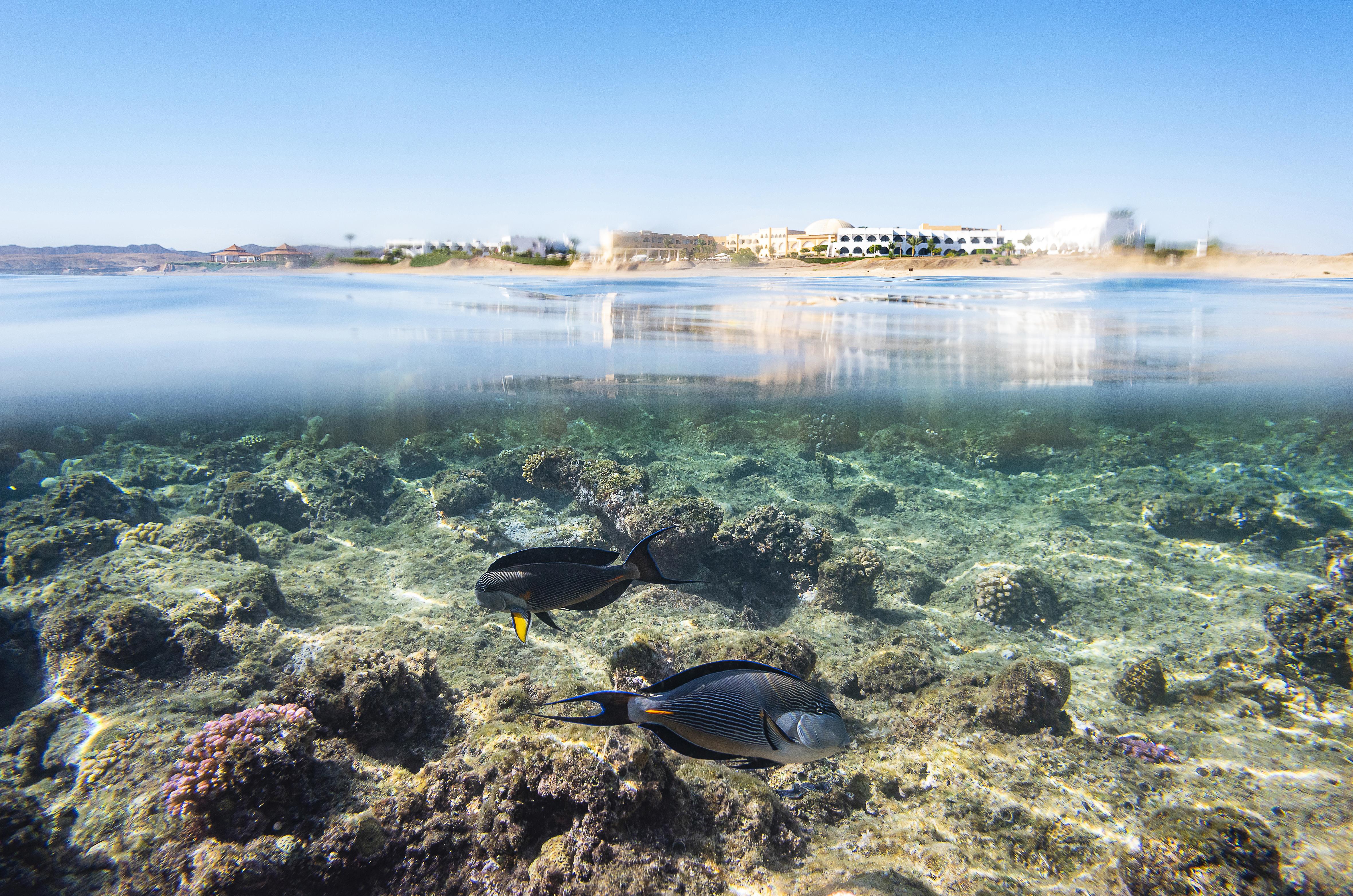 Three Corners Equinox Resort 4*