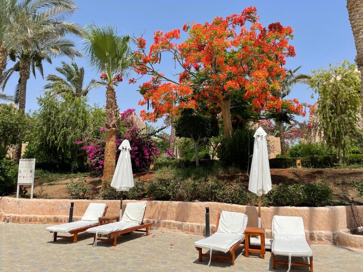 Hotel Soulotel Blue Resort&spa Marsa Alam
