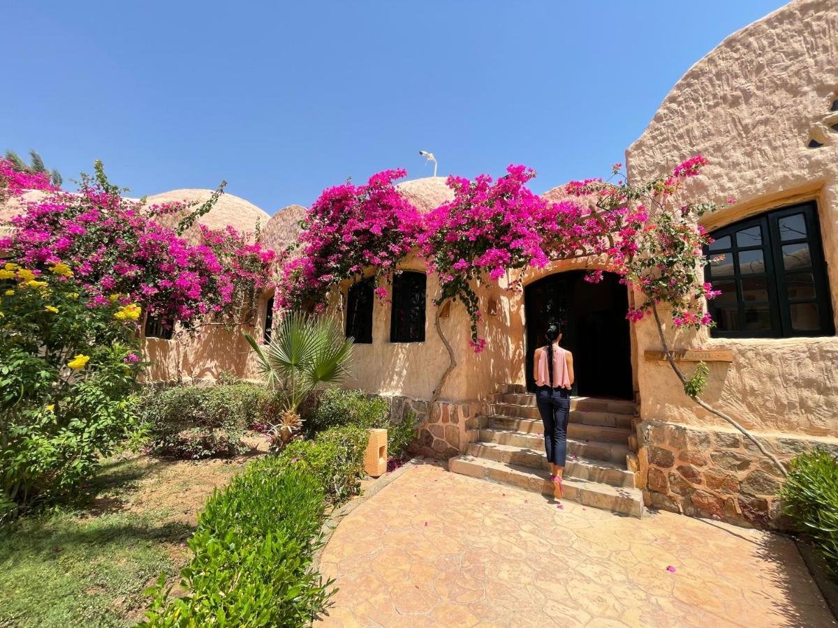 Hotel Soulotel Blue Resort&spa Marsa Alam