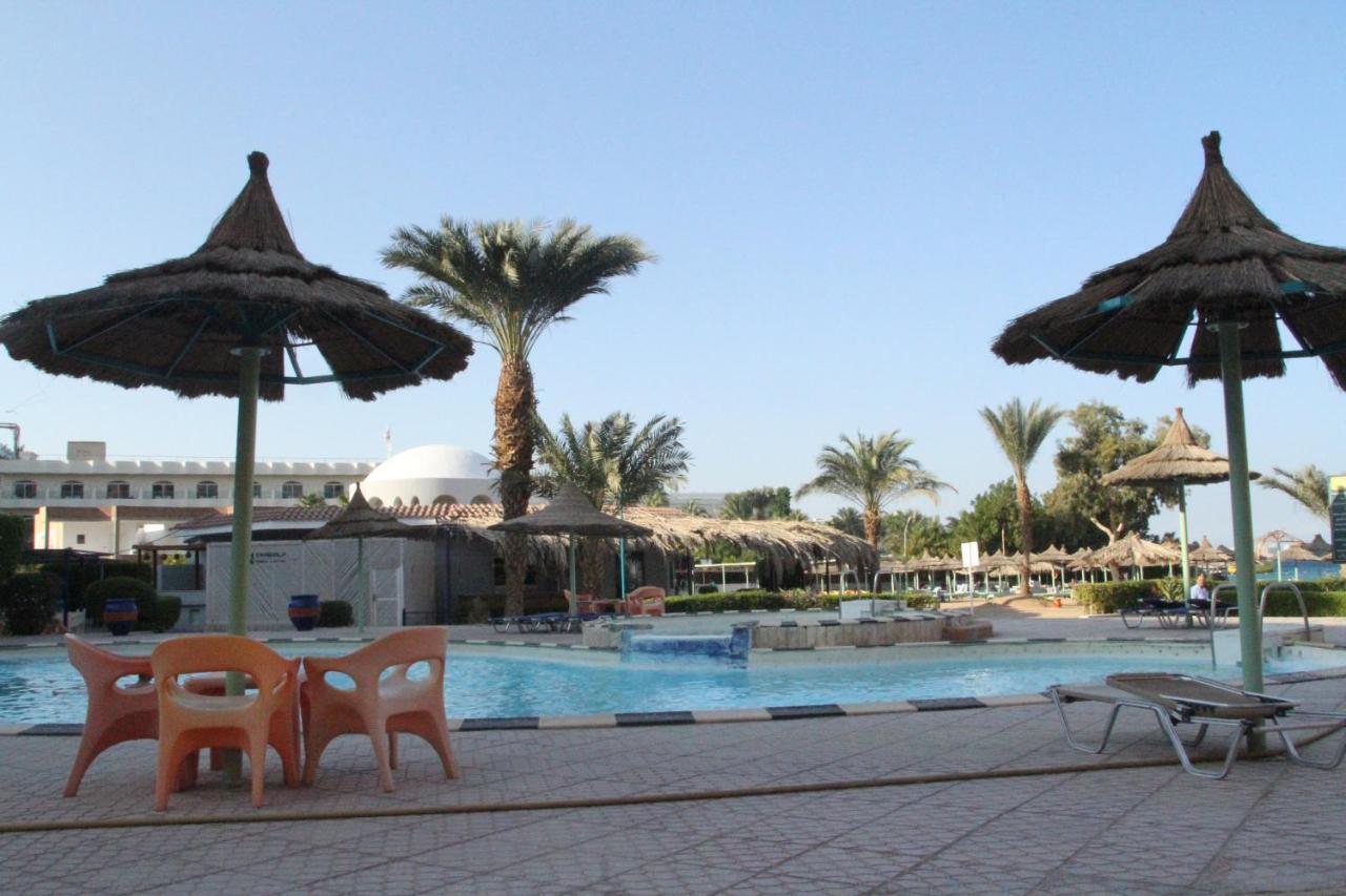 Dexon Roma Hotel 3*