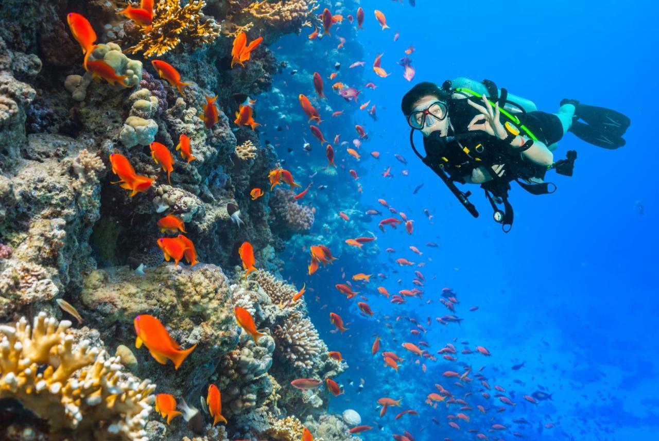 Pensiune Rayhana Marsa Alam