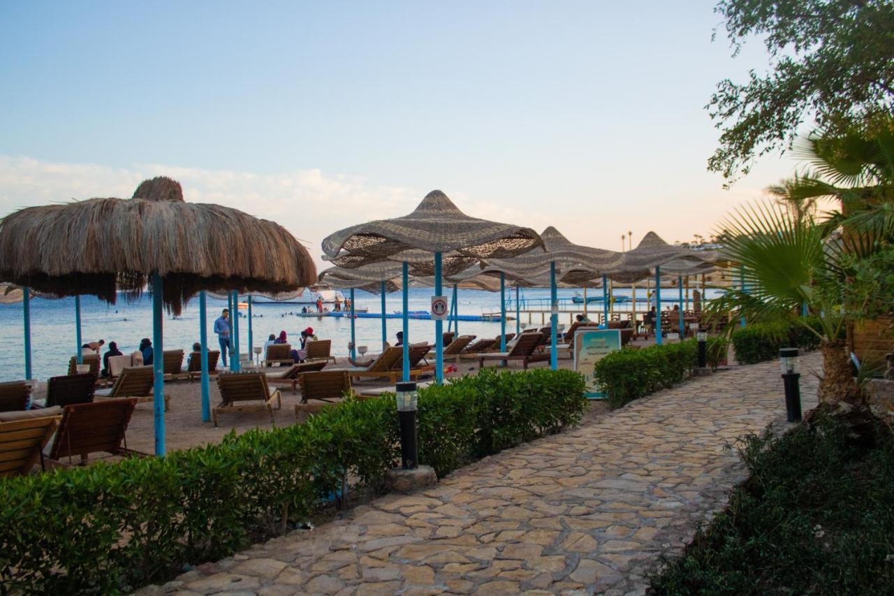 Resort Sharks Bay Oasis Aqua Park Resort