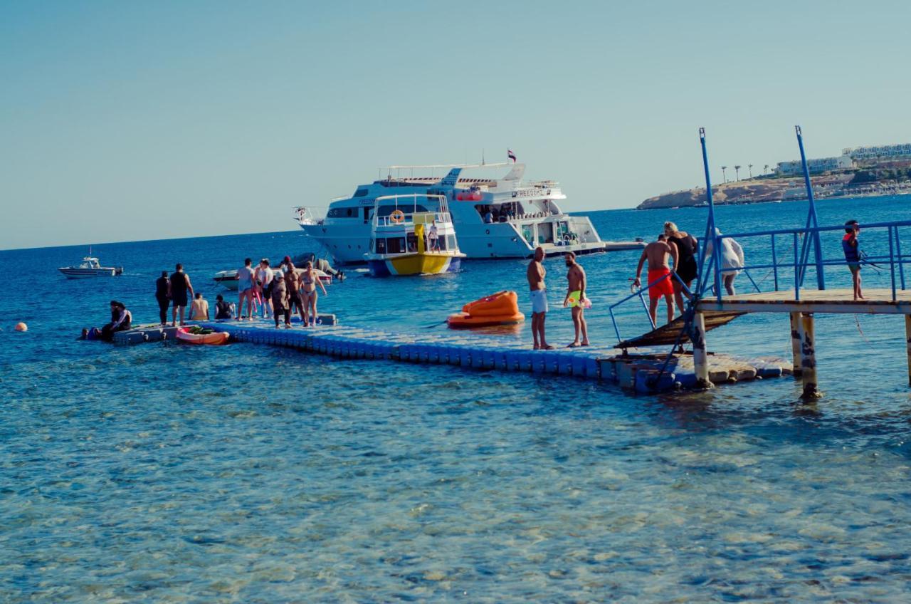 Sharks Bay Oasis Aqua Park Resort