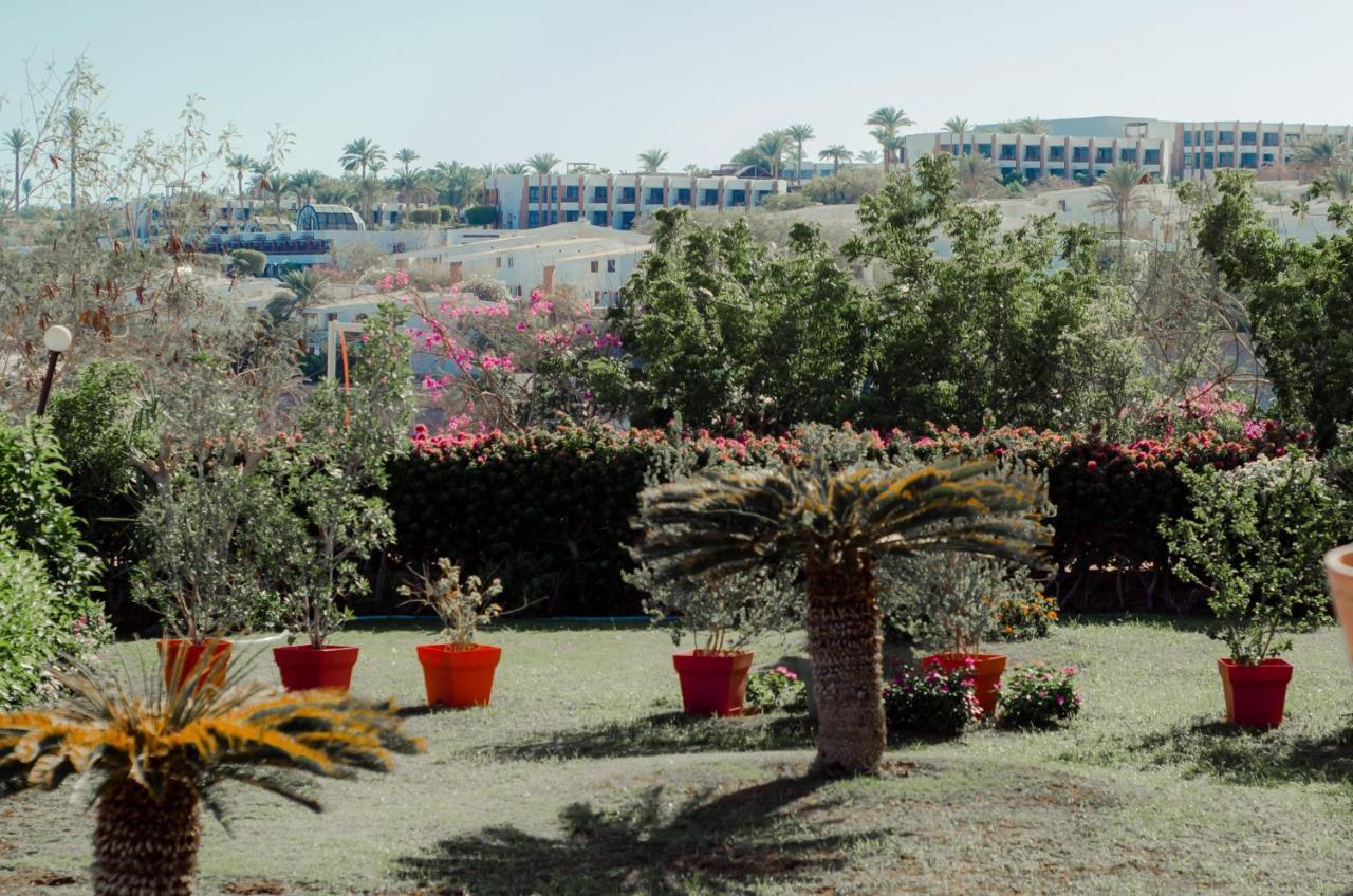 Resort Sharks Bay Oasis Aqua Park Resort