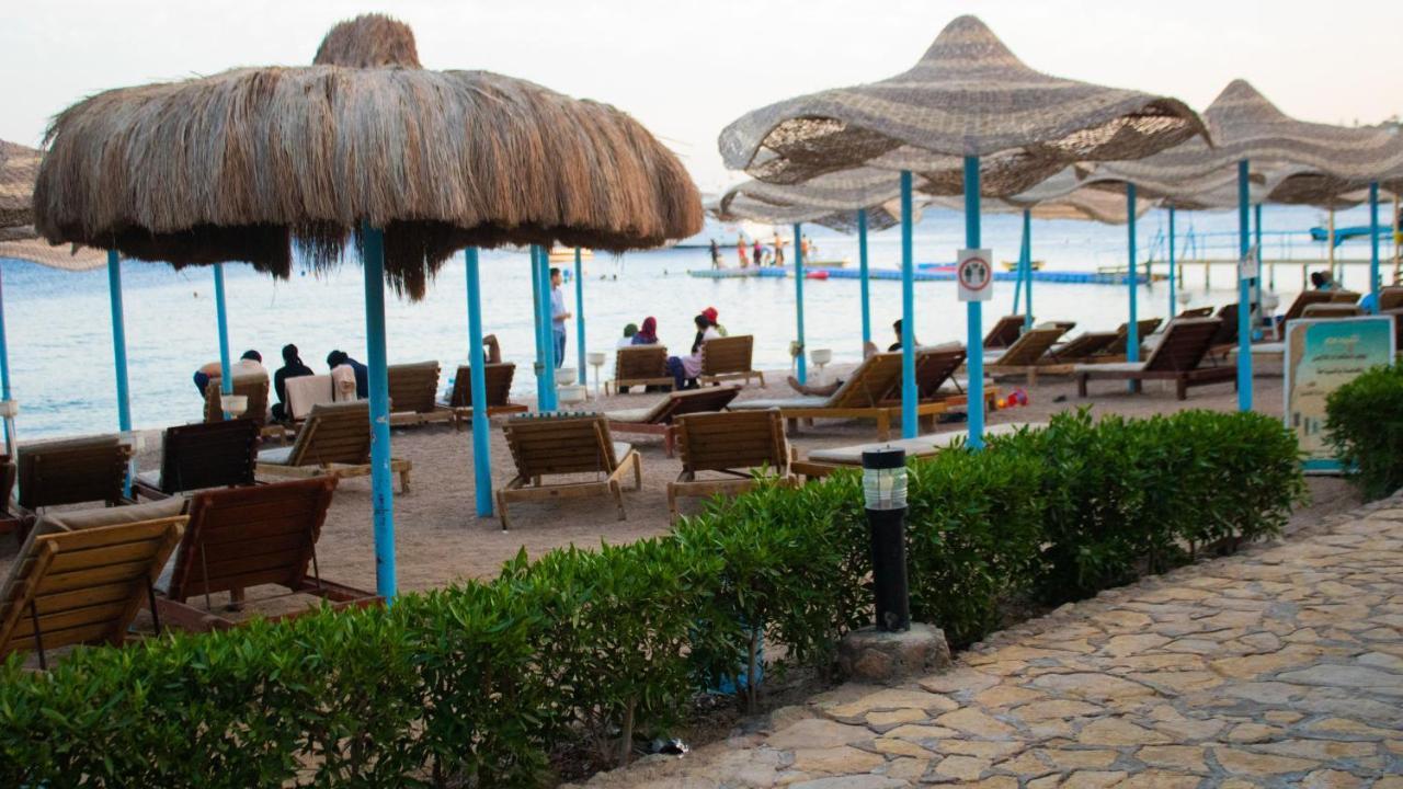 Sharks Bay Oasis Aqua Park Resort 3*