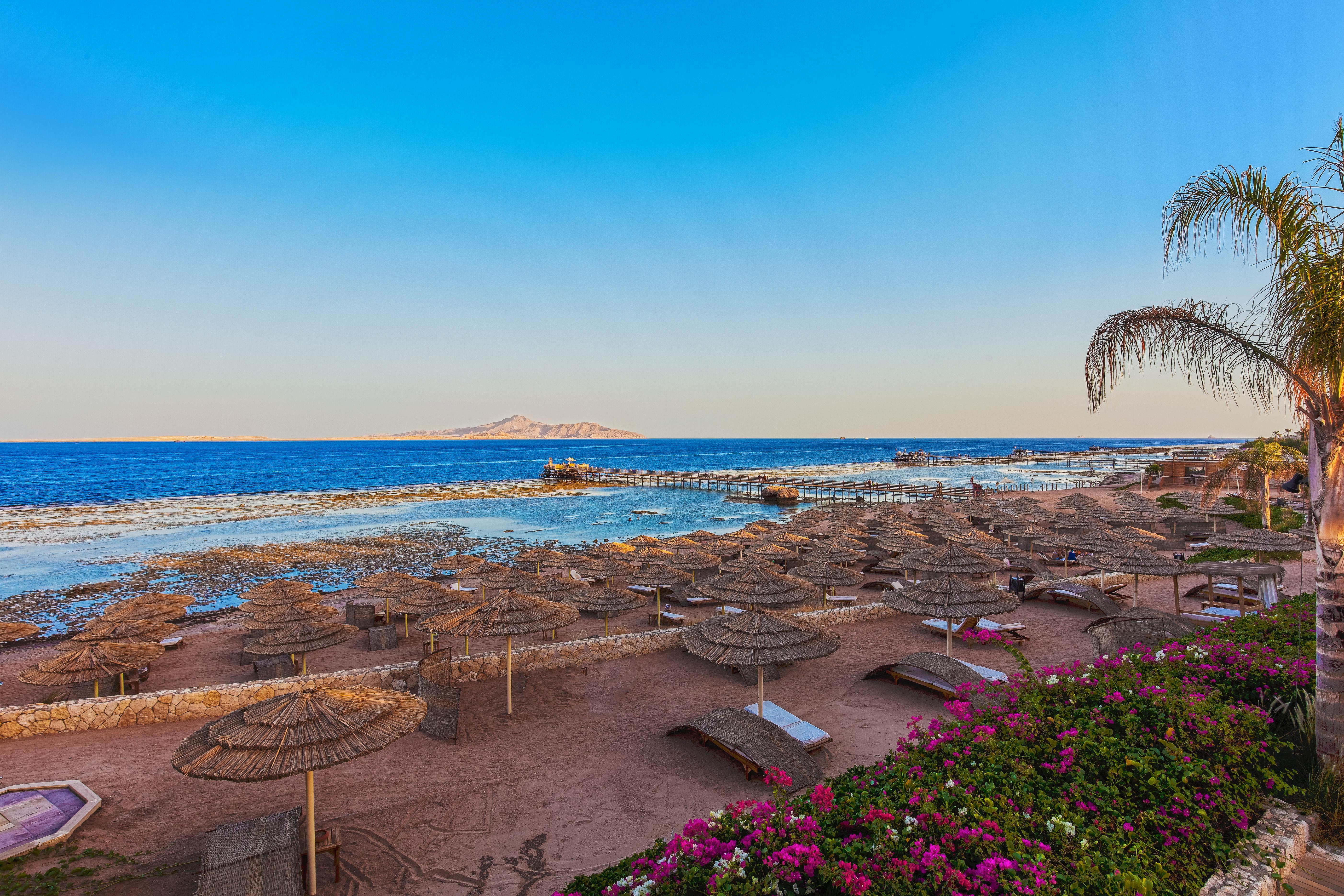 Cleopatra Luxury Sheikh