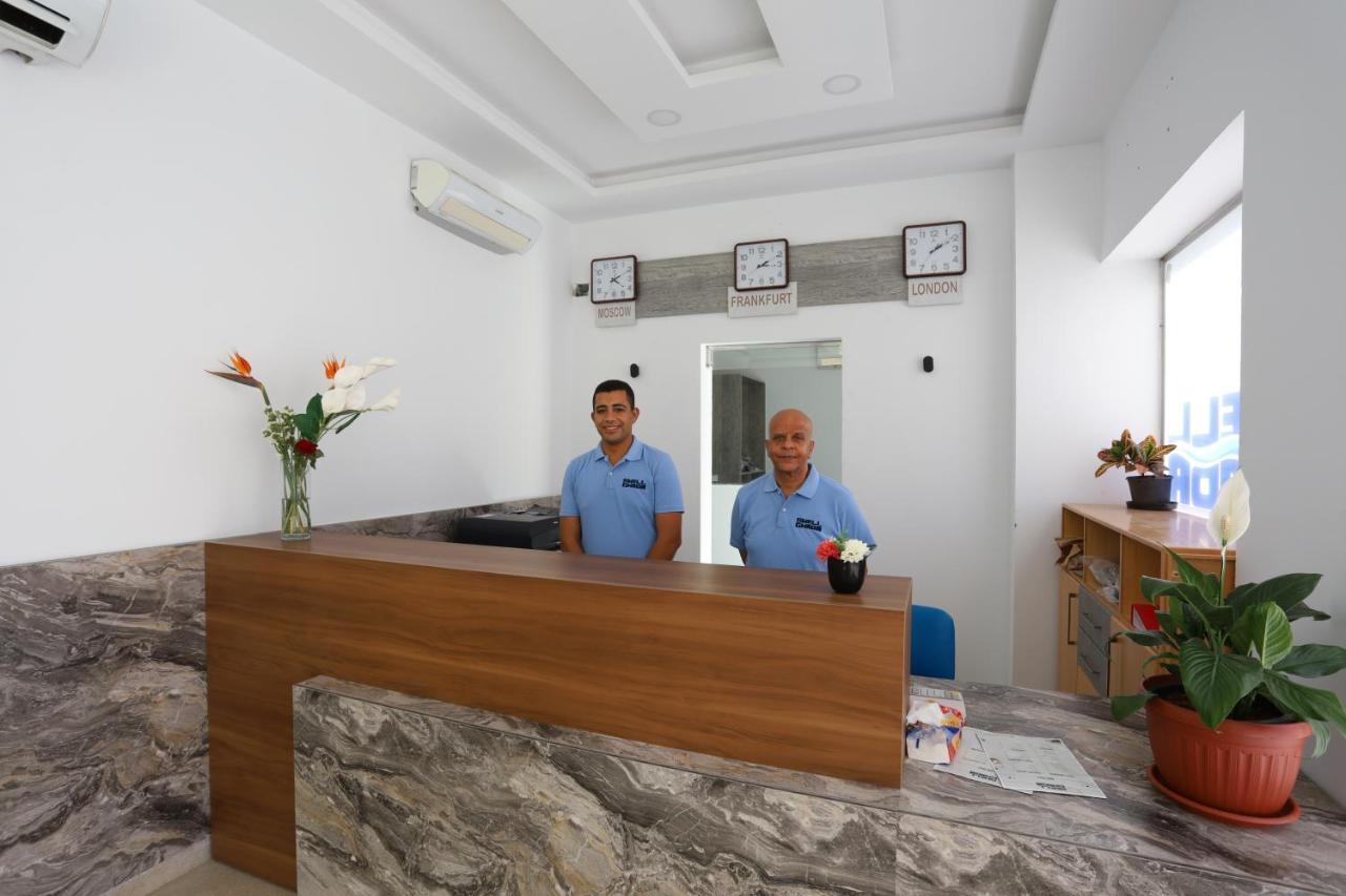 Shellghada Blue