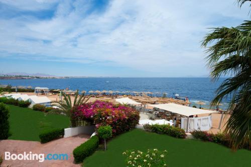 At Shores Amphoras