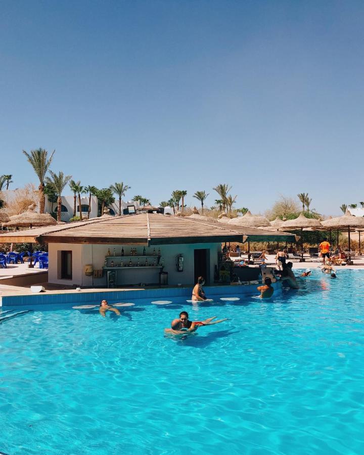 Private Coral & Kitchen In Sharm-el-sheikh * Sharm el-Sheikh