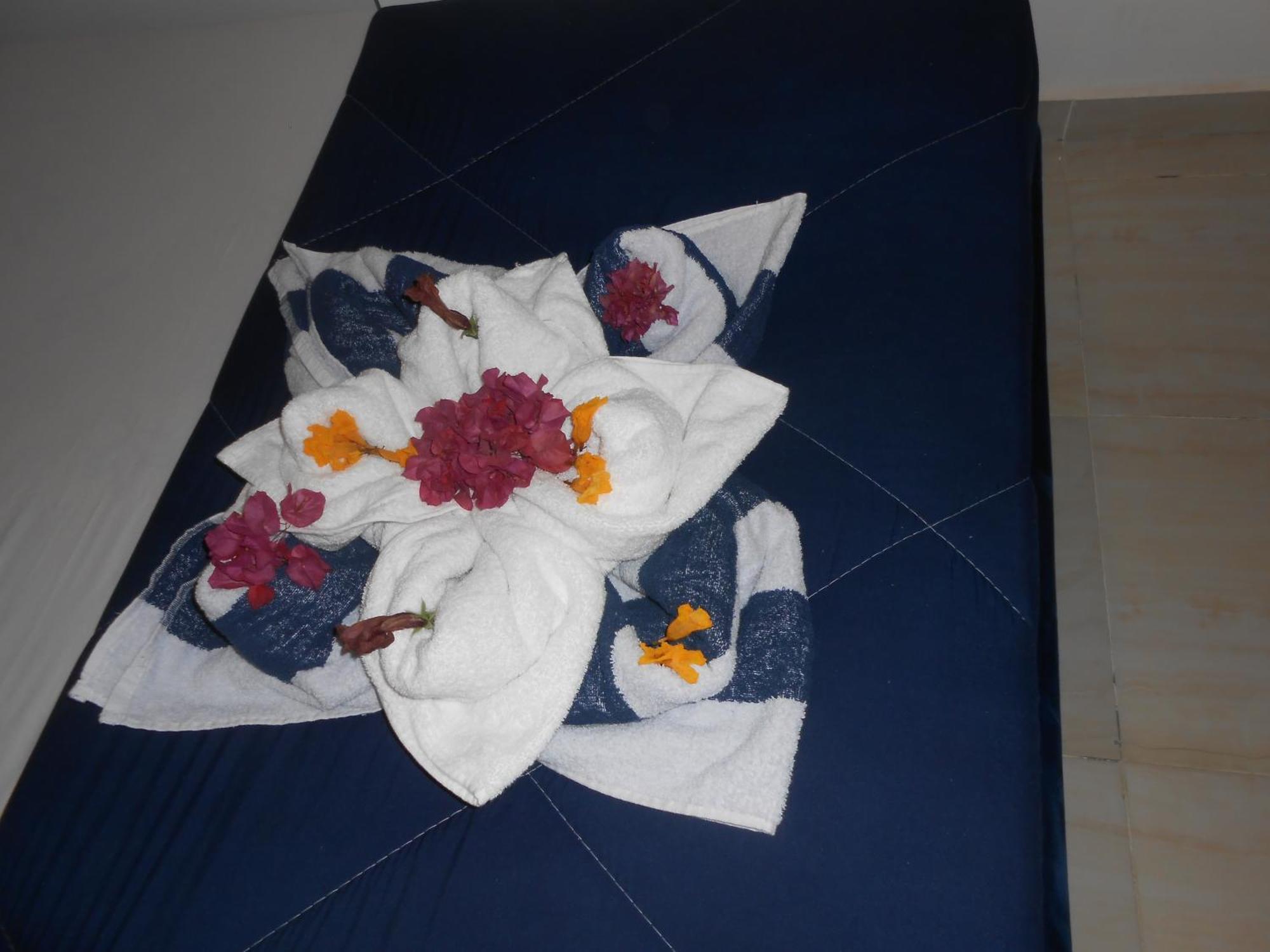 Hotel Fox House & El Gouna 4*