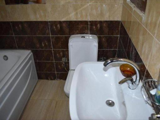 Guest house Pyramids 3*